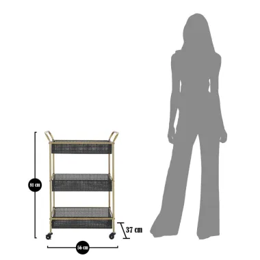 WÓZEK FASHION 56 37 81 cm